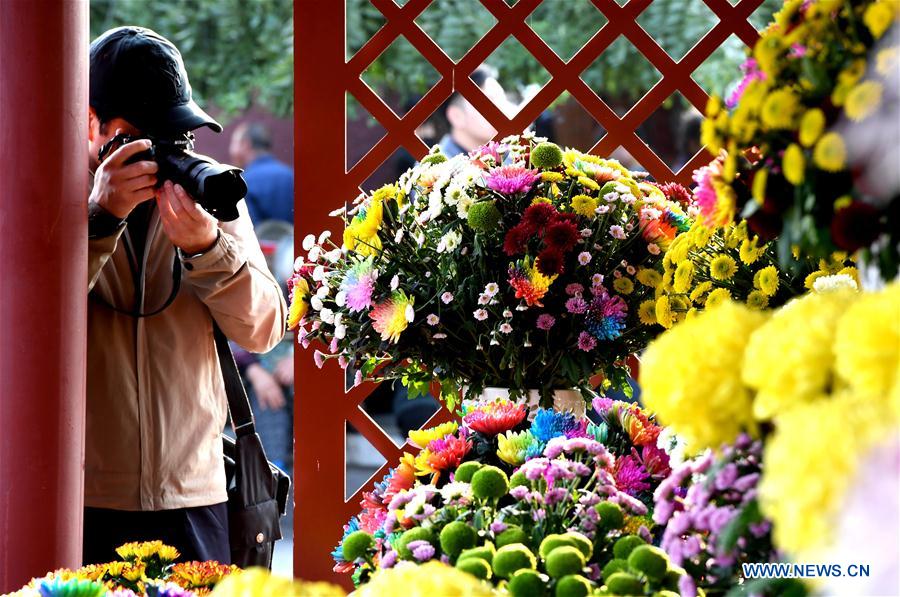 CHINA-HENAN-KAIFENG-CHRYSANTHEMUM (CN)