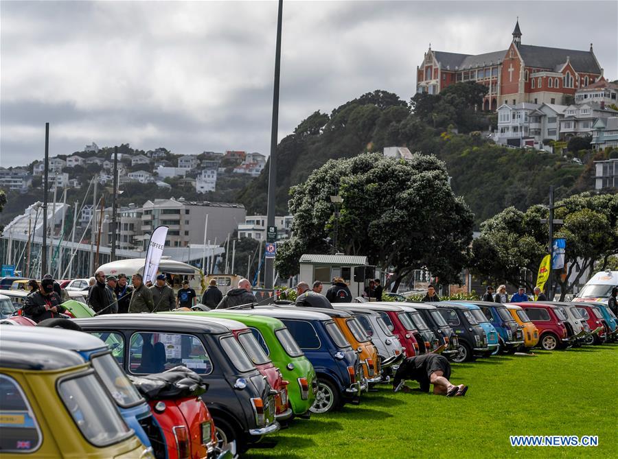 NEW ZEALAND-WELLINGTON-MINI COOPER-SHOW