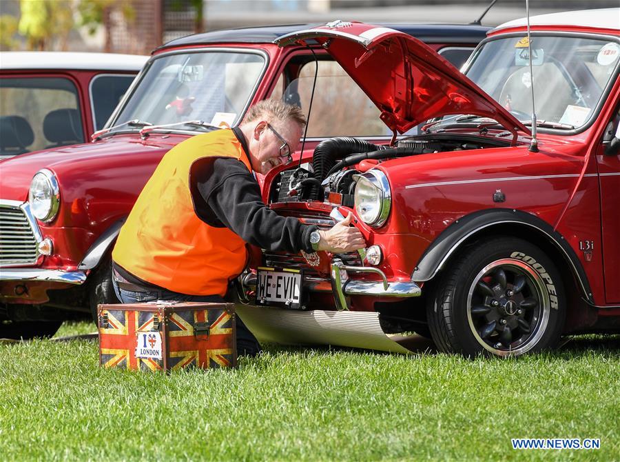 NEW ZEALAND-WELLINGTON-MINI COOPER-SHOW