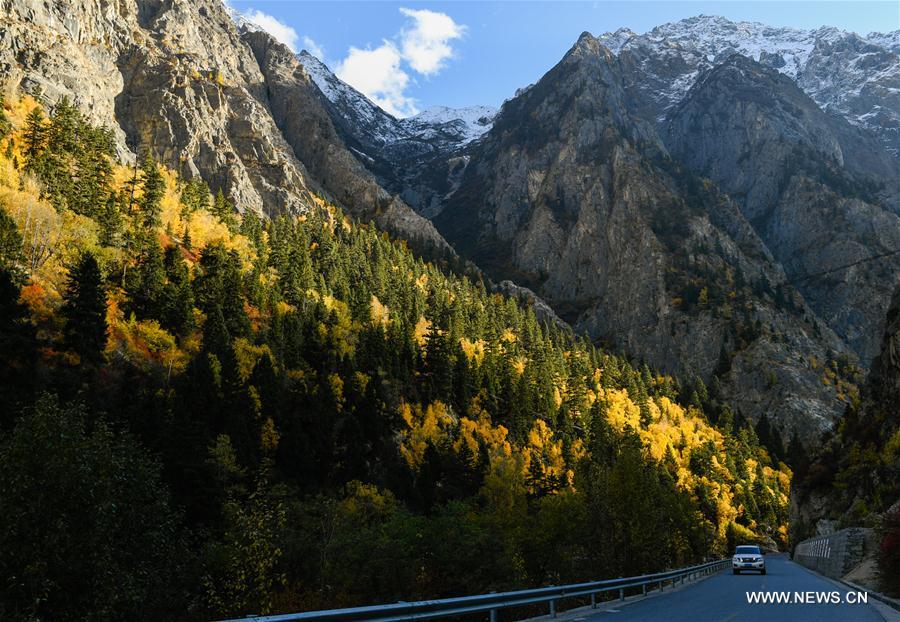 CHINA-TIBET-AUTUMN-SCENERY (CN)