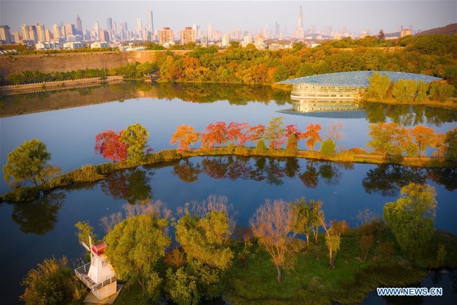 #CHINA-NANJING-AUTUMN SCENERY (CN)