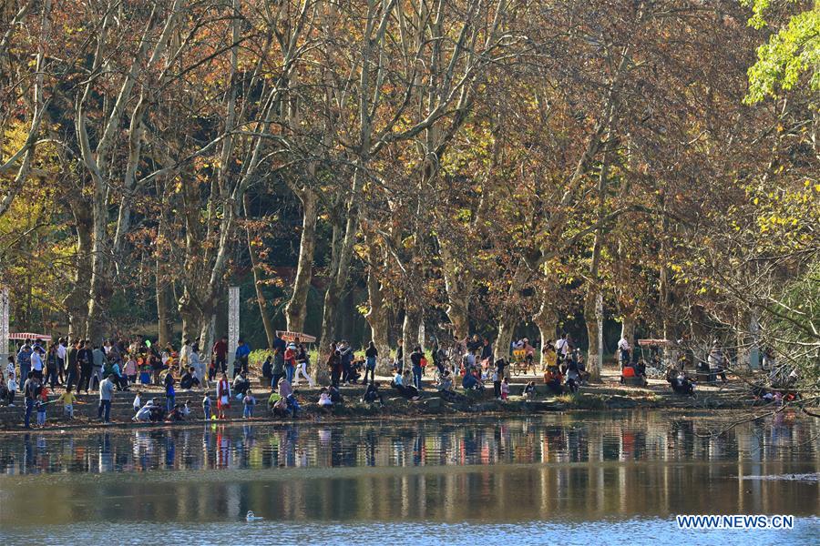 CHINA-GUIZHOU-GUIYANG-WETLAND PARK-AUTUMN SCENERY (CN)