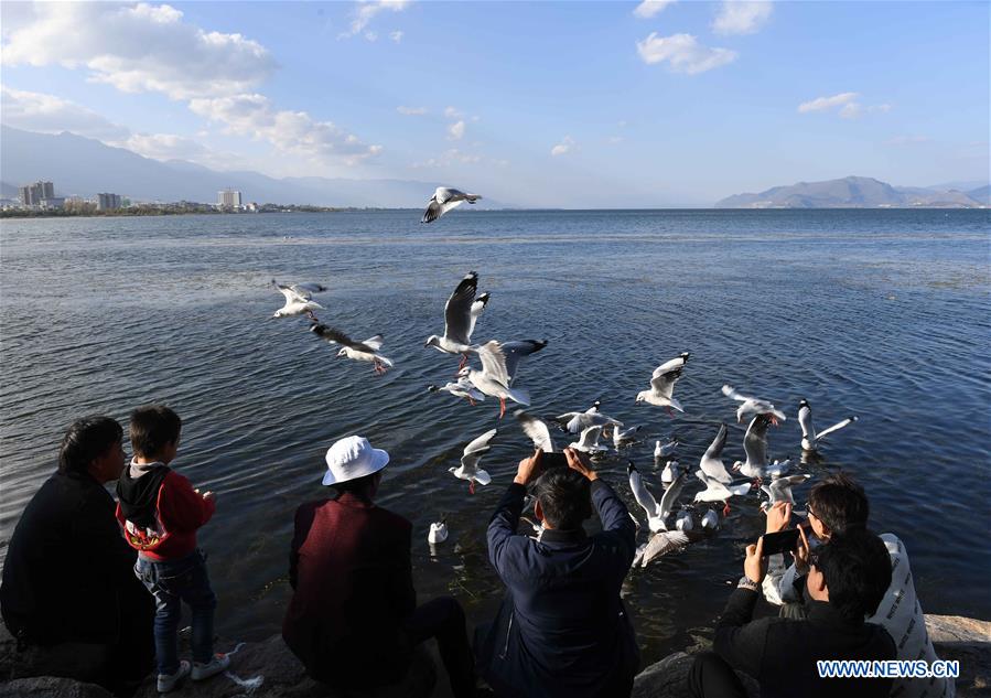 CHINA-YUNNAN-DALI-ERHAI LAKE (CN)