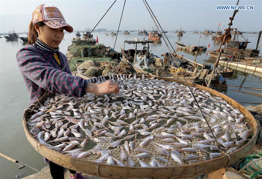 #CHINA-JIANGSU-LIANYUNGANG-FISHING (CN)