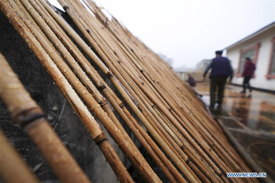 #CHINA-GUIZHOU-DANZHAI-LUSHENG-MAKING (CN)