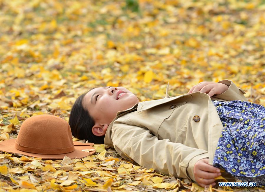 #CHINA-AUTUMN-GINKGO (CN)