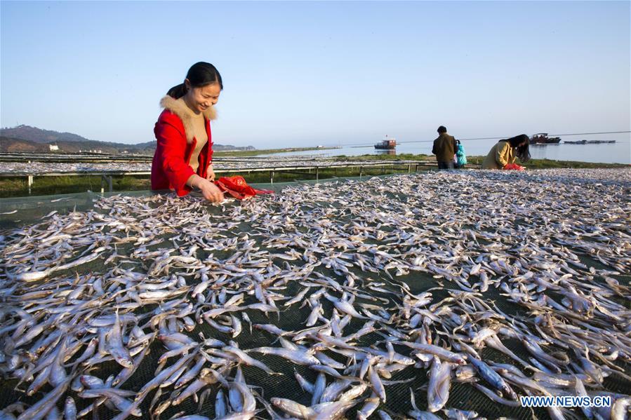 #CHINA-JIANGXI-FISHERY-PRODUCTION (CN)