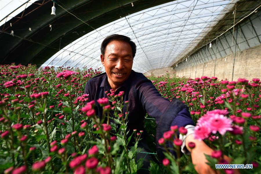 CHINA-HENAN-FLOWER PLANTING-INCOME RAISE (CN)