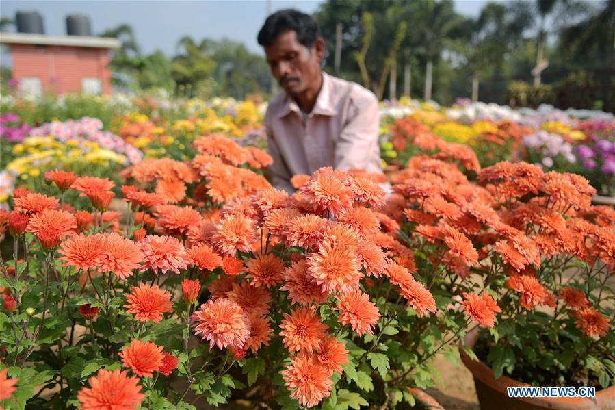 INDIA-TRIPURA-FLOWER NURSERY