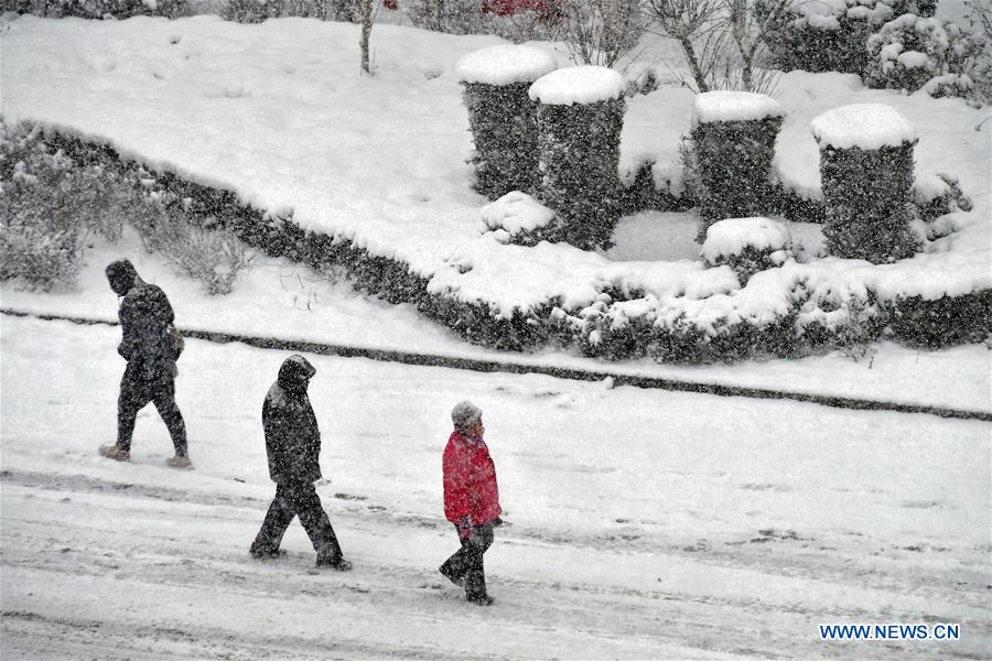 #CHINA-SHANDONG-SNOWFALL(CN)