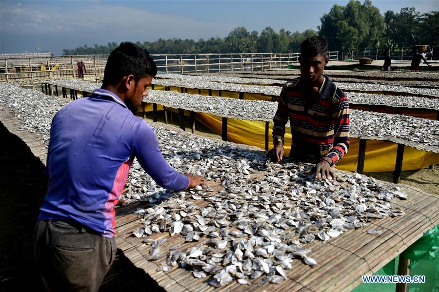 BANGLADESH-COX'S BAZAR-FISH DRYING