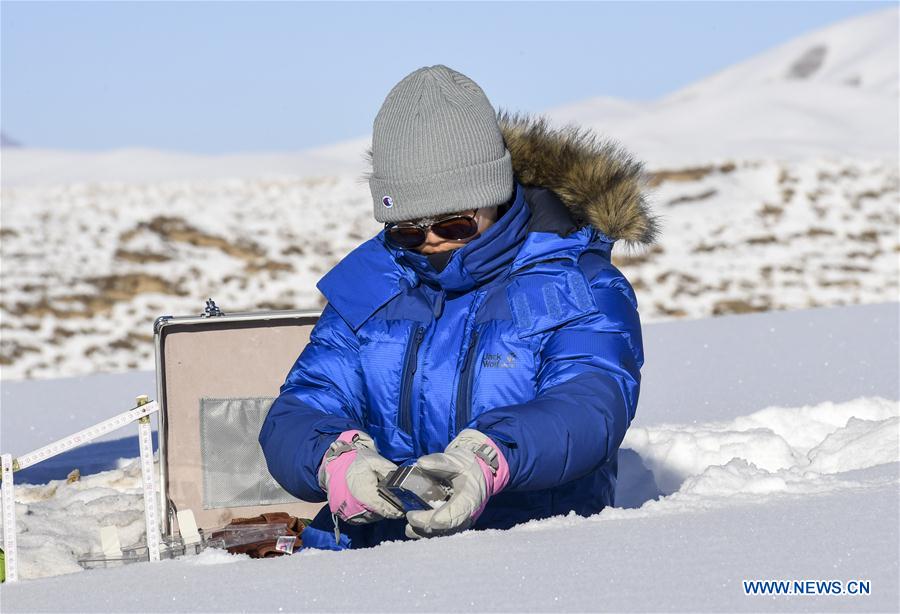 CHINA-XINJIANG-SNOW COVER-RESEARCH (CN)