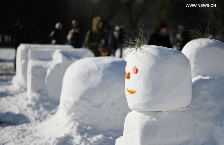 CHINA-HARBIN-FAMILY SNOW SCULPTURE COMPETITION (CN)