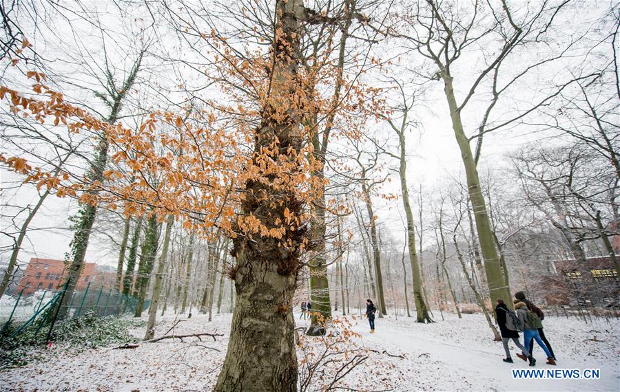 GERMANY-DUISBURG-SNOWFALL