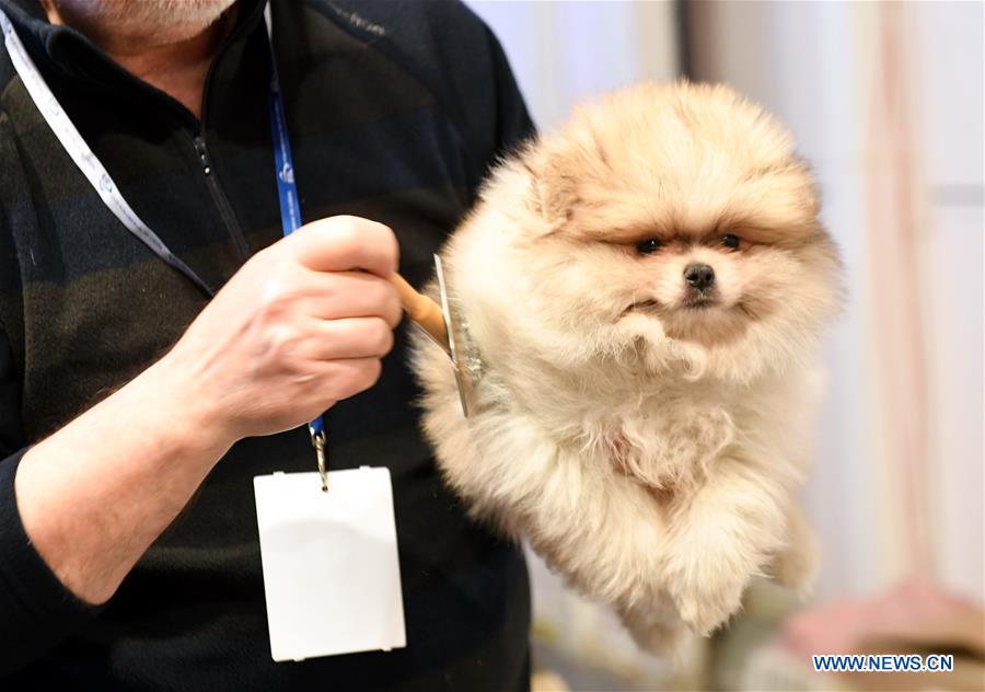 PORTUGAL-LISBON-PET SHOW