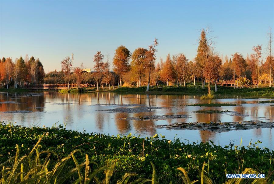 CHINA-KUNMING-DIANCHI LAKE-SCENERY (CN)