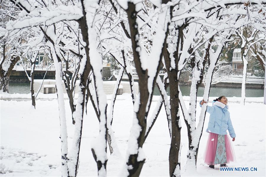 CHINA-JIANGSU-NANJING-SNOW SCENERY (CN)