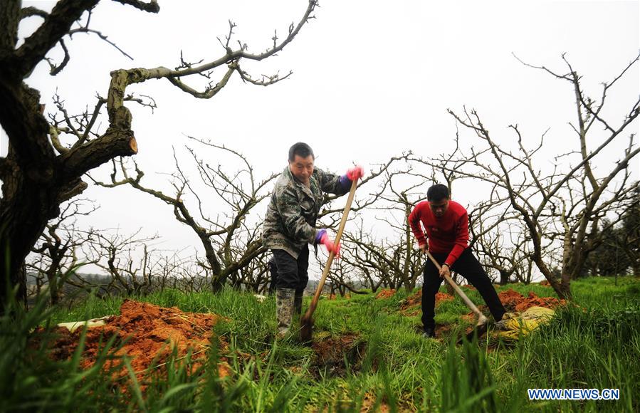 #CHINA-EARLY SPRING-FARMWORK (CN)