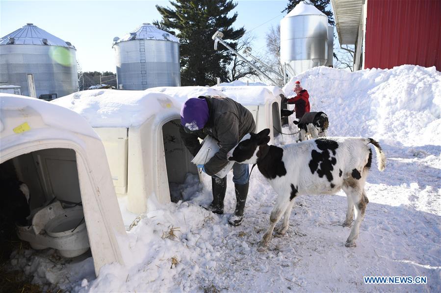 Xinhua Headlines: Wisconsin soy farmers long for expanding exports to China after tough year