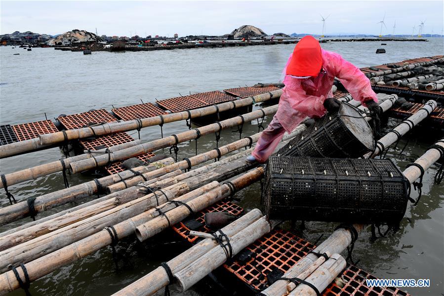 CHINA-FUJIAN-PUTIAN-MARICULTURE(CN)