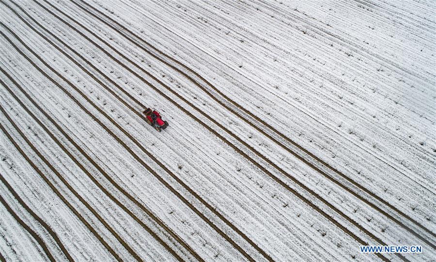 #CHINA-JIANGSU-SNOW-FARMLAND (CN)