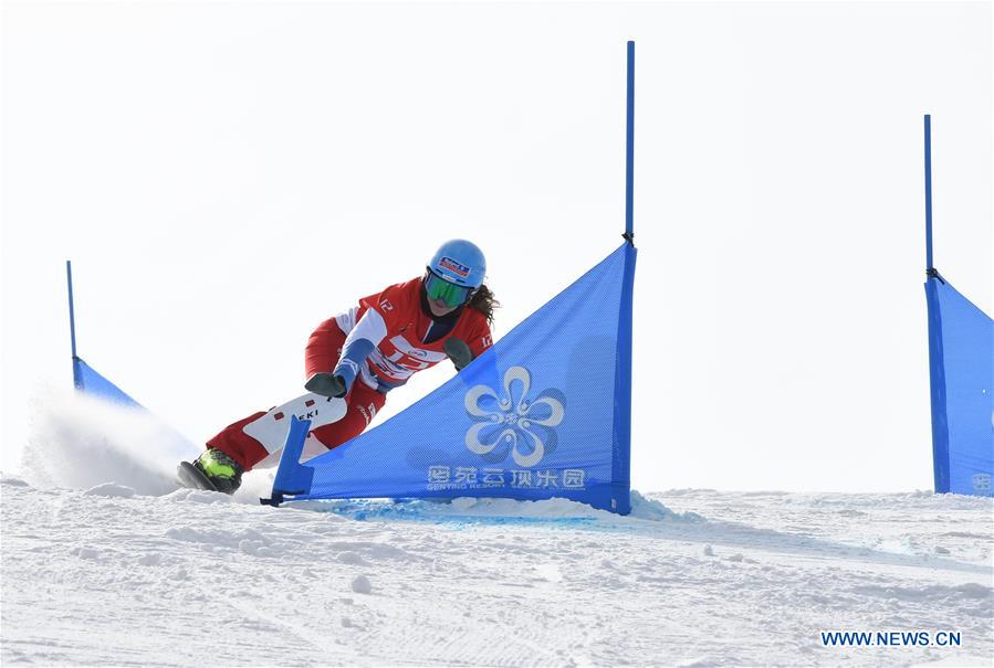 (SP)CHINA-HEBEI-ZHANGJIAKOU-FIS SNOWBOARD-PARALLEL SLALOM(CN)