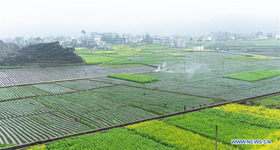 CHINA-GUIZHOU-LIUPANSHUI-POVERTY ALLEVIATION (CN)