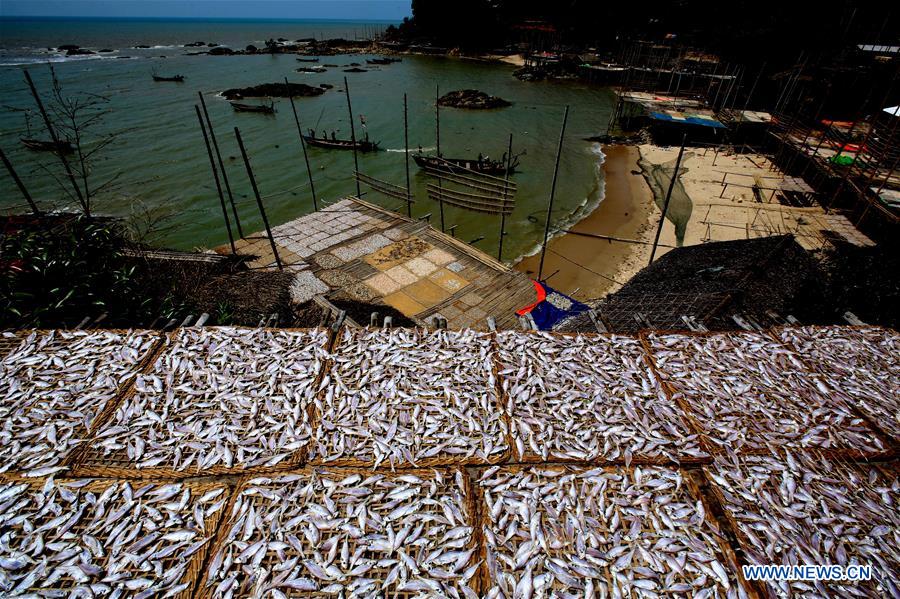 MYANMAR-THANBYUZAYAT-DRYING FISH