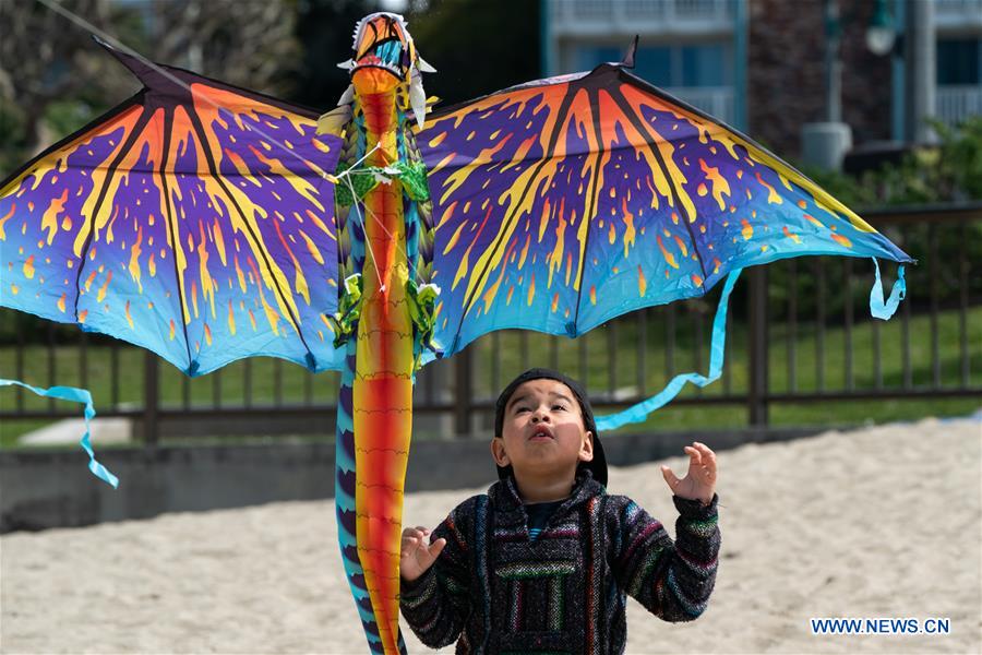 U.S.-LOS ANGELES-KITE FESTIVAL