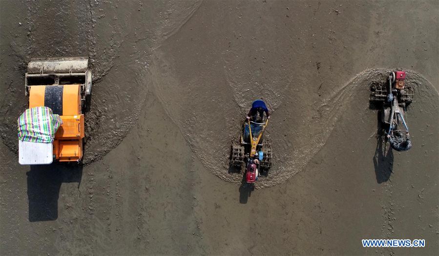 CHINA-NANCHANG-FARM WORK (CN)