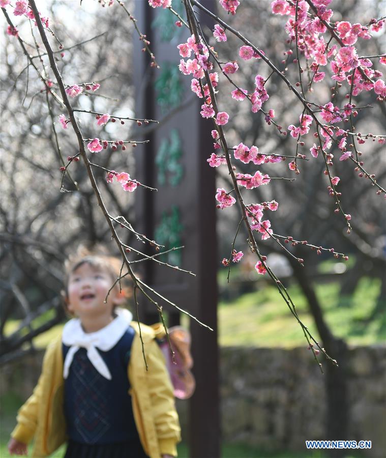 CHINA-SUZHOU-FLOWERS (CN)