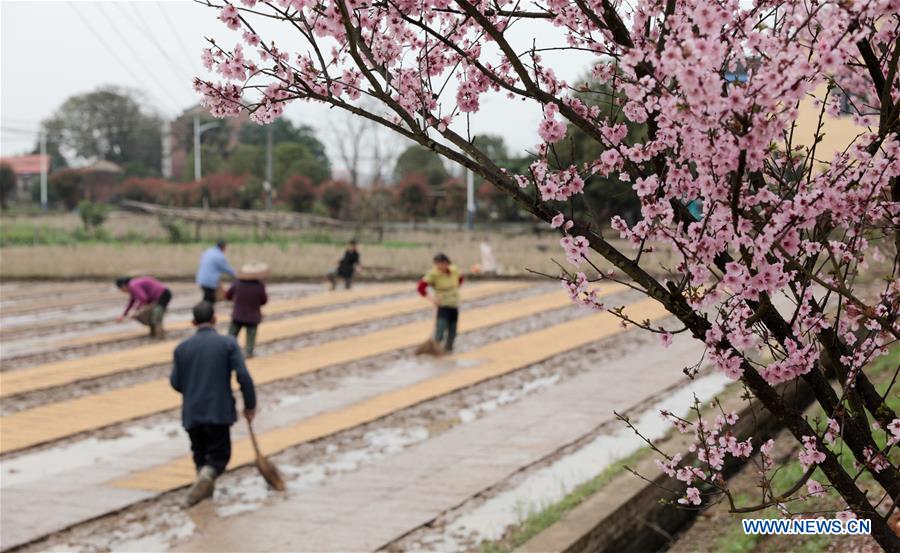 #CHINA-SPRING-FARMING (CN)