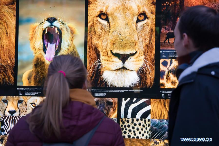 HUNGARY-BUDAPEST-NATURE PHOTO EXHIBITION