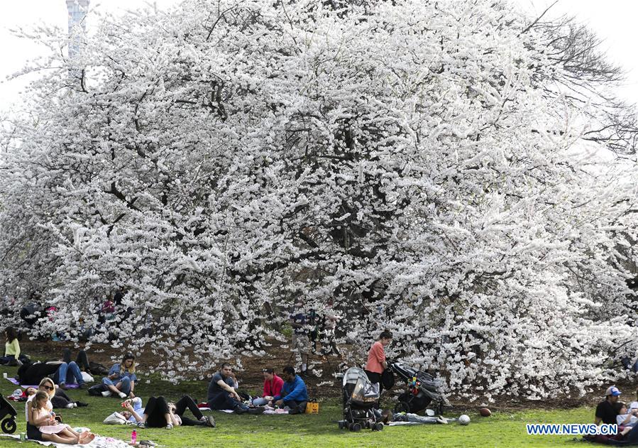 U.S.-NEW YORK-CENTRAL PARK-SPRING-LEISURE