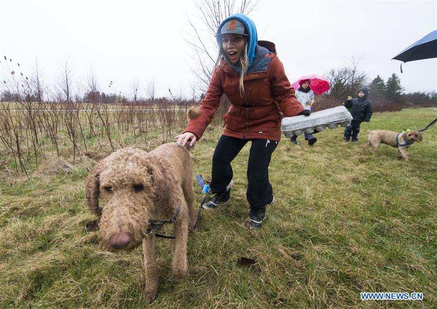 CANADA-ONTARIO-OAKVILLE-EASTER EGG HUNT FOR DOGS