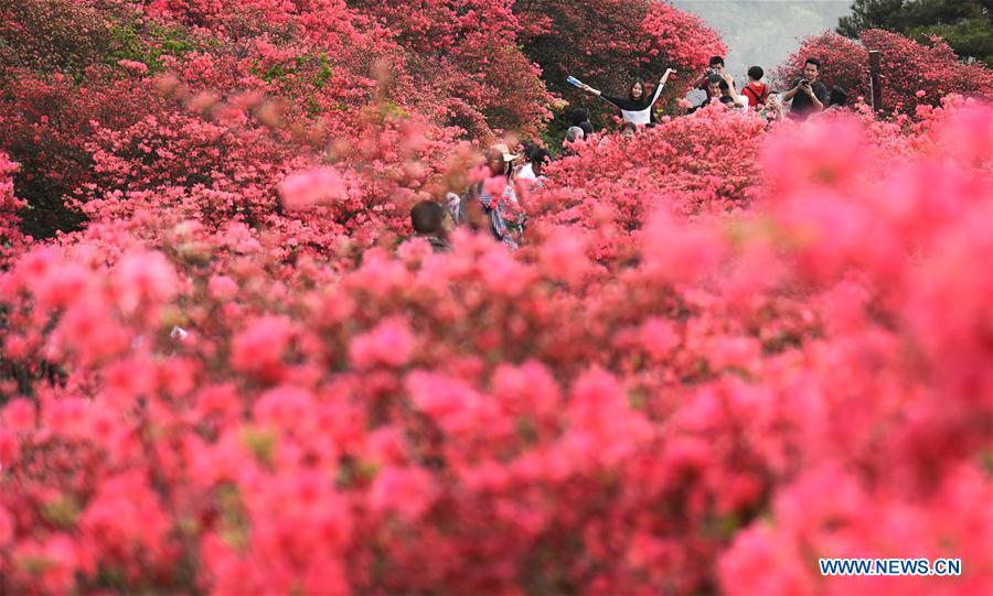 CHINA-HUBEI-WUHAN-SCENERY (CN)