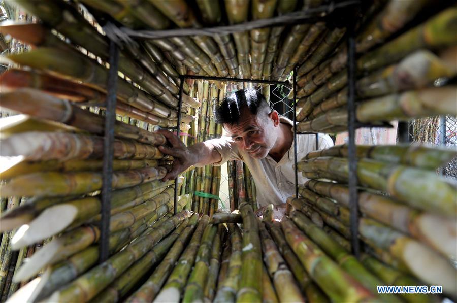 KASHMIR-JAMMU-SUGARCANE JUICE