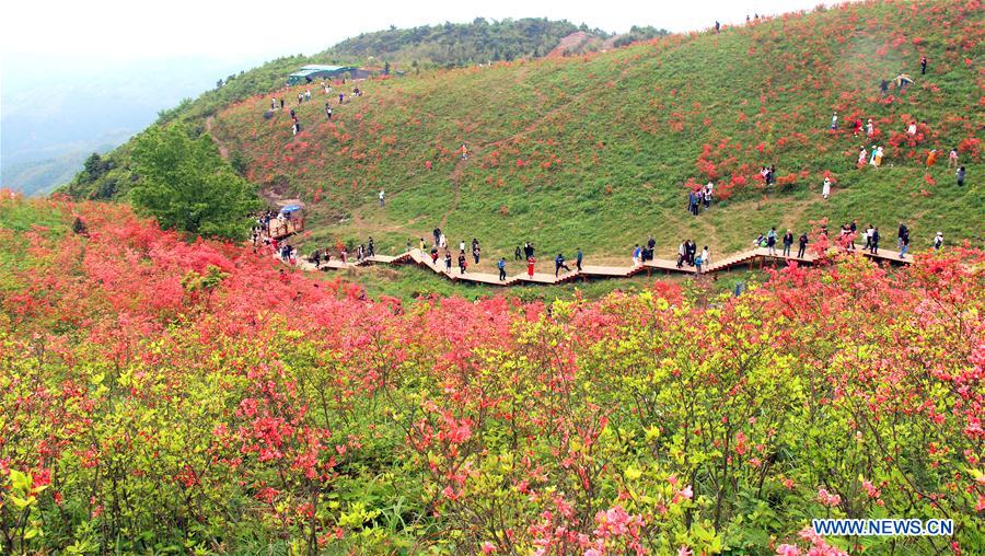 #CHINA-SPRING SCENERY-FLOWERS (CN)