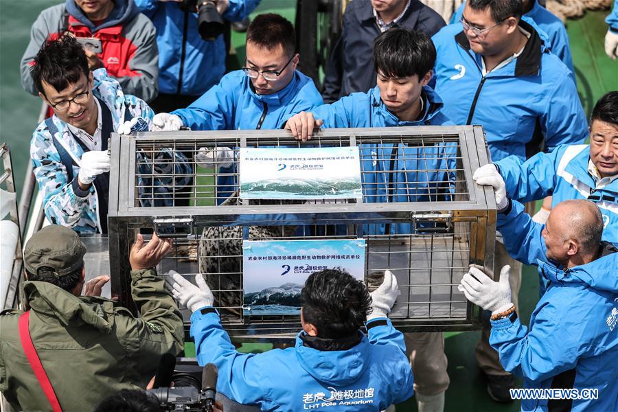 CHINA-LIAONING-DALIAN-RARE SEALS-RELEASE (CN)