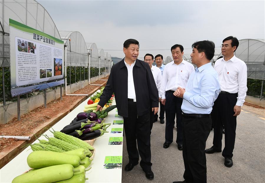 CHINA-JIANGXI-XI JINPING-INSPECTION (CN)