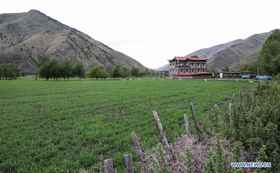 CHINA-SICHUAN-KANGDING-RURAL REVITALIZATION (CN)