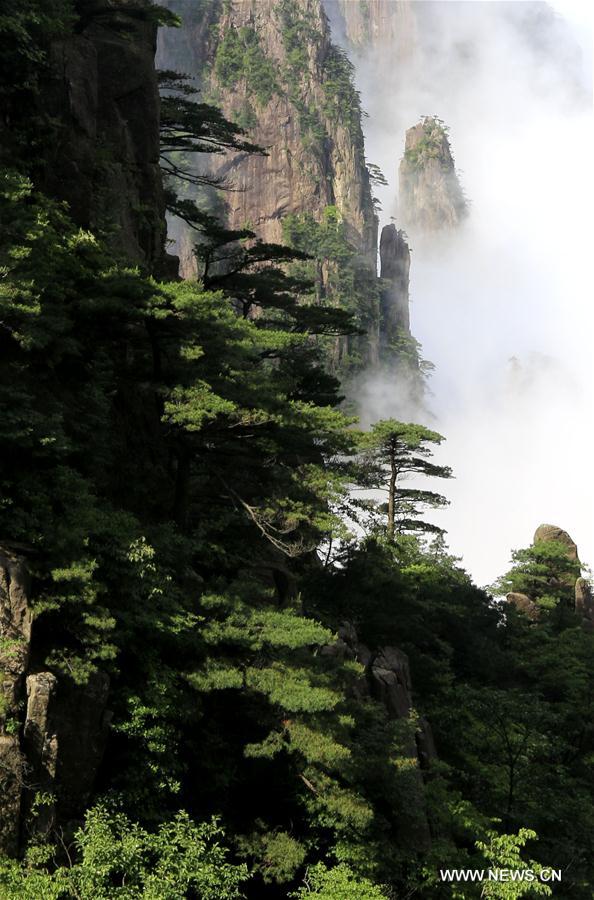 #CHINA-ANHUI-HUANGSHAN-CLOUDS-SCENERY(CN)