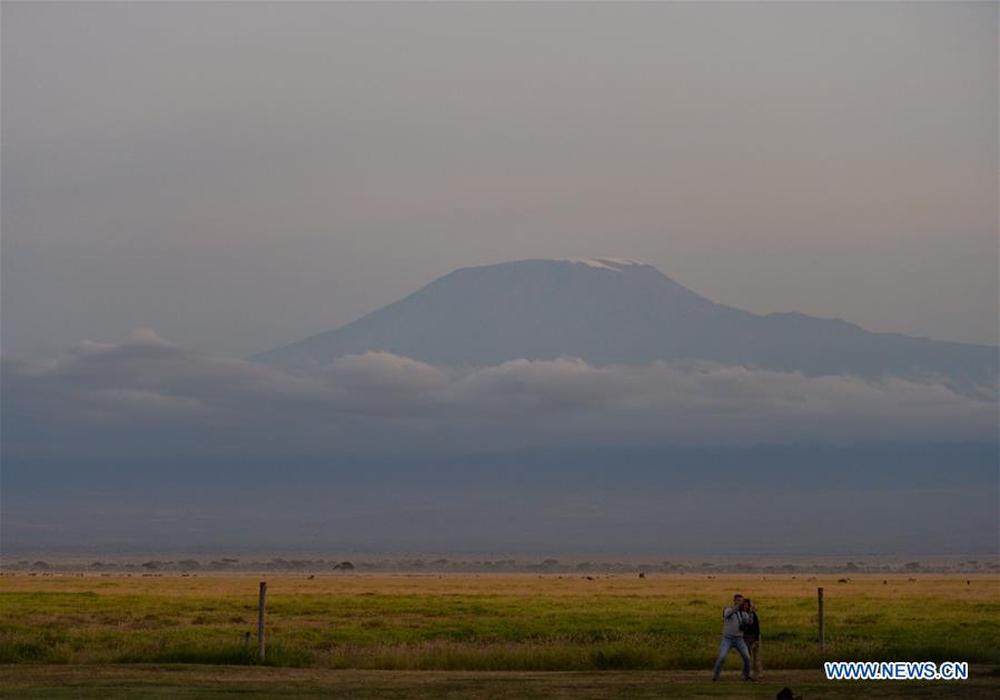 KENYA-AMBOSELI NATIONAL PARK-ANIMAL