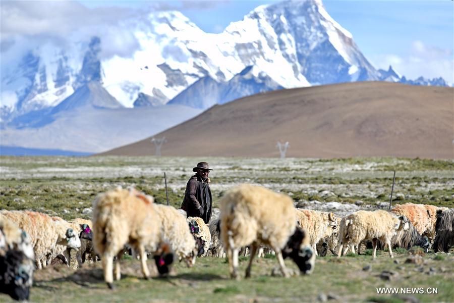 CHINA-TIBET-YADONG-SCENERY (CN)