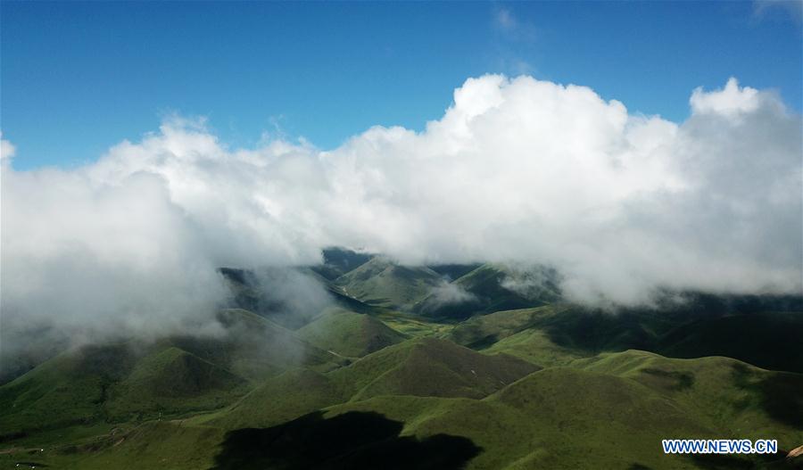 CHINA-GANSU-XIAHE-GRASSLAND-SCENERY (CN)