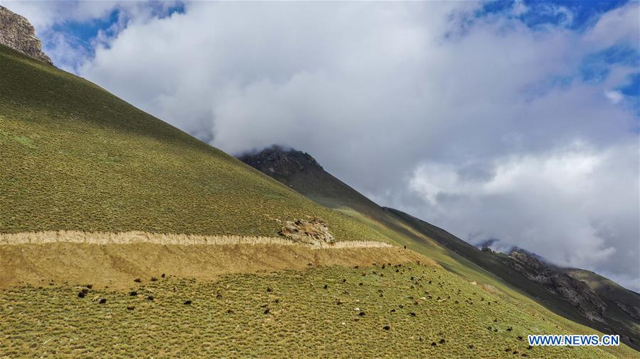 CHINA-XINJIANG-TAXKORGAN-PASTURE-SCENERY (CN)