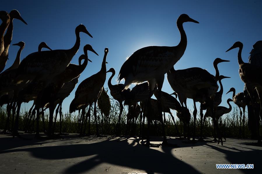 CHINA-HEILONGJIANG-WETLAND PROTECTION (CN)