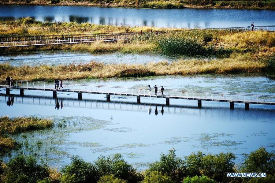 CHINA-HEILONGJIANG-WETLAND PROTECTION (CN)