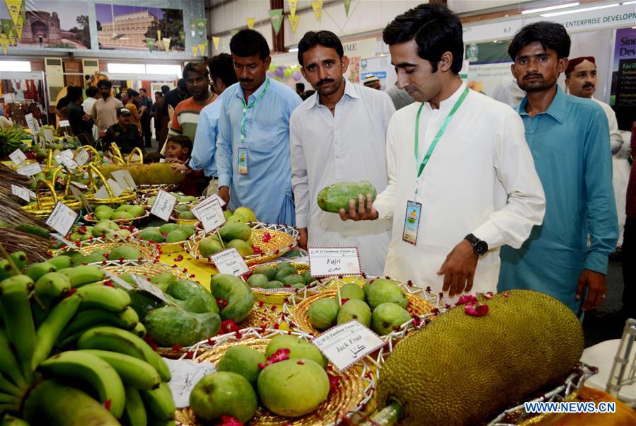 PAKISTAN-HYDERABAD-MANGO-FESTIVAL