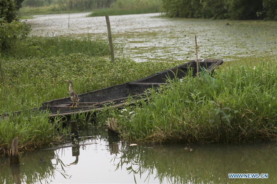 CHINA-ZHEJIANG-DEQING-WETLAND (CN)